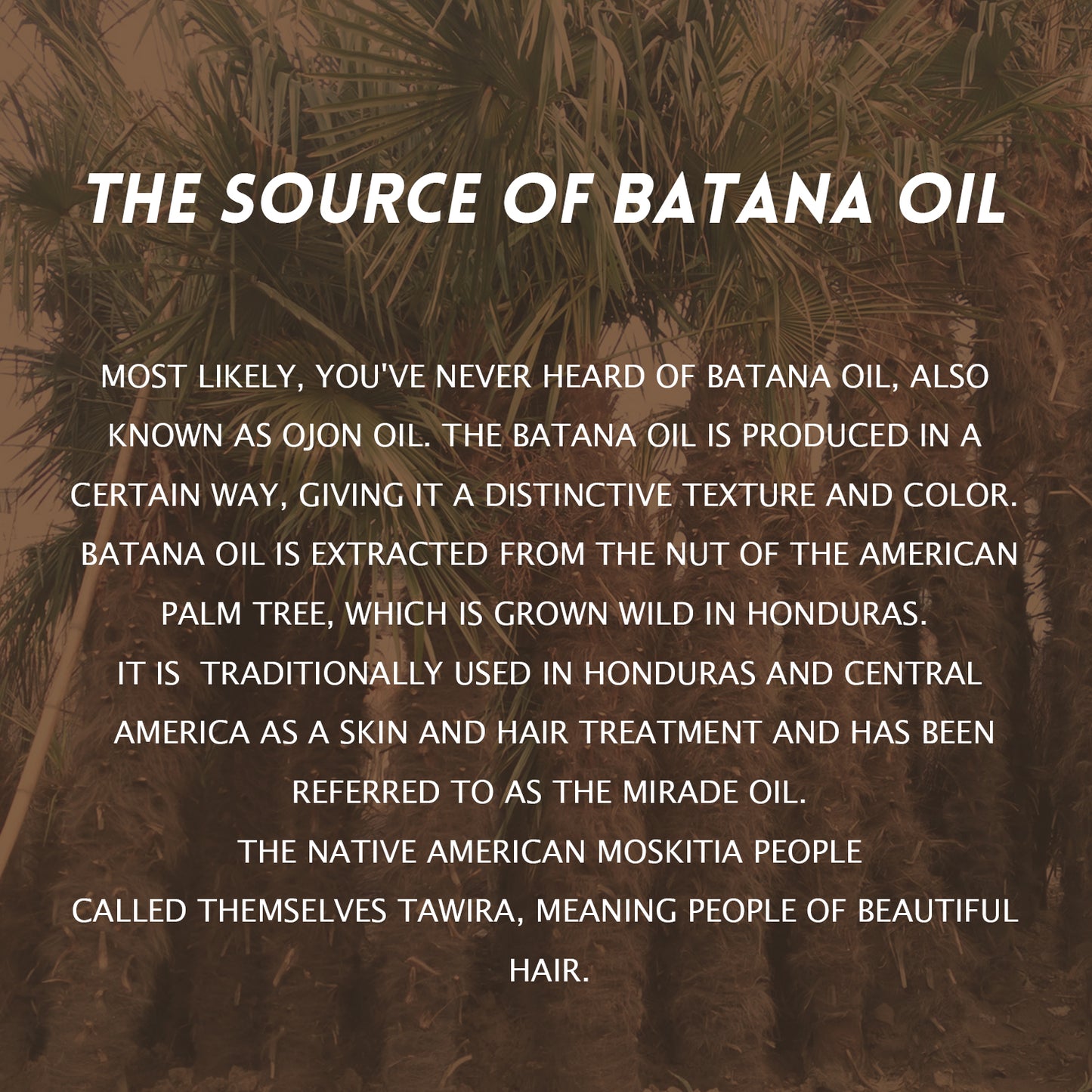 Batana Butter Hair Treatment – Intensive Moisturiser for Repair and Growth, Minimises Hair Loss, Repairs Split Ends – 6.11oz