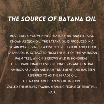 Batana Butter Hair Treatment – Intensive Moisturiser for Repair and Growth, Minimises Hair Loss, Repairs Split Ends – 6.11oz