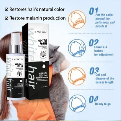 White Hair Darkening Spray with Herbal Ingredients, Restores Natural Color, Anti-Dandruff, Nourishes Hair Follicles, Reduces Itching & Flaky Scalp - 50ml