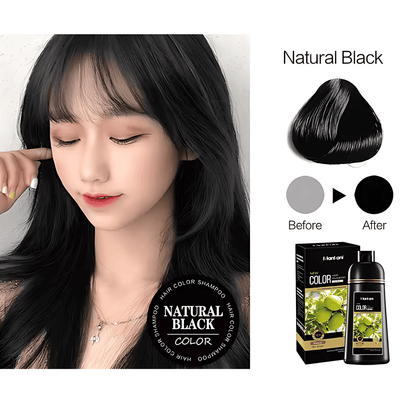 Black Hair Color Shampoo – Natural Black, Quick & Convenient Ammonia-Free Hair Colouring with Argan Oil, Ginseng Extract, Olive Extract & Polygonum, 420ml