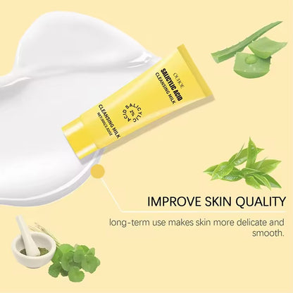 Salicylic Acid 2% Cleansing Milk - Deep Facial Cleanser for Acne-Prone Skin, Gentle Exfoliation, Oil Control, Pore Minimizer, and Skin Smoothing Formula, 80g